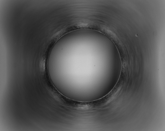 X0000096710454200802191511