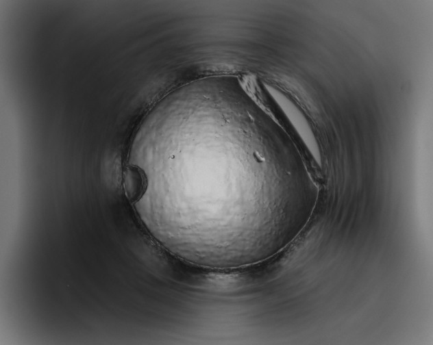 X0000096710457200802191512