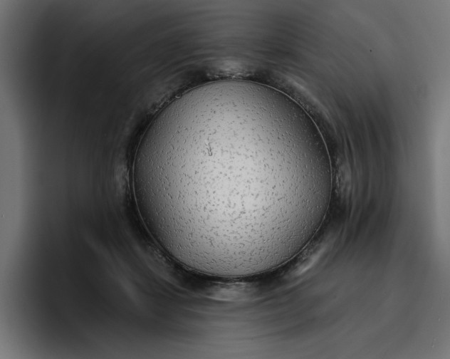 X0000096710459200802191512