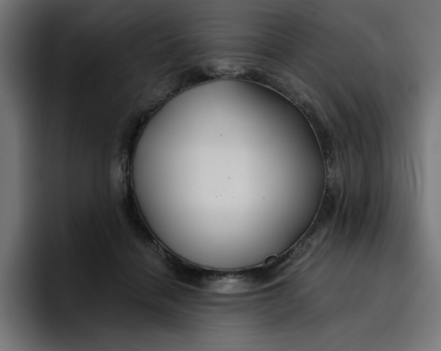 X0000096710460200802191512