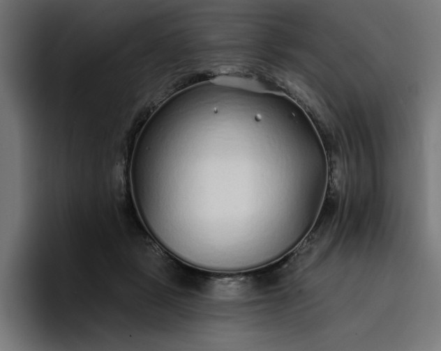 X0000096710461200802191512