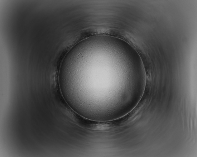 X0000096710462200802191512