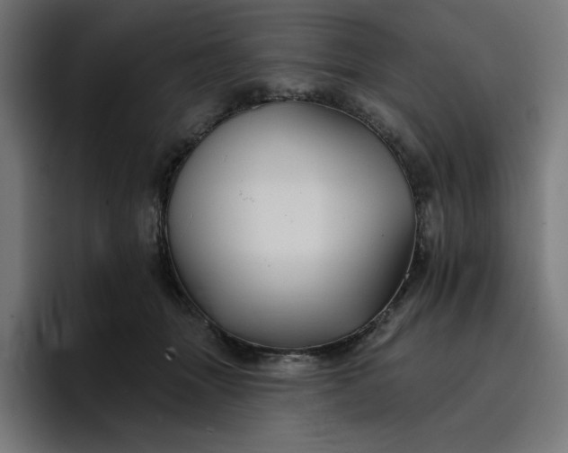 X0000096710463200802191512