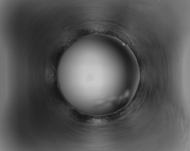 X0000096710464200802191512