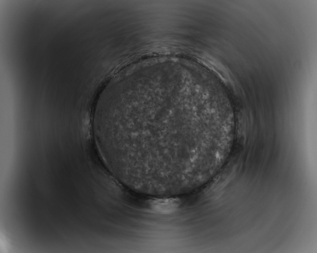 X0000096710465200802191512