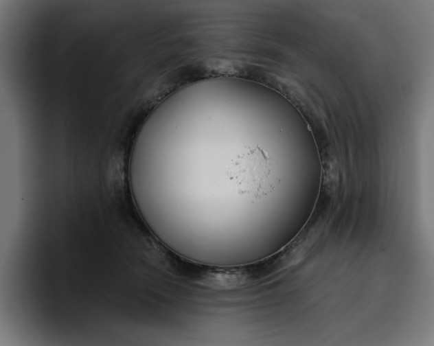 X0000096710466200802191512