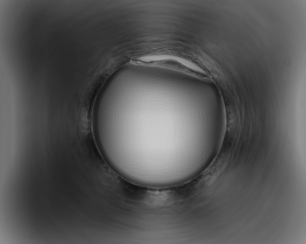 X0000096710469200802191512