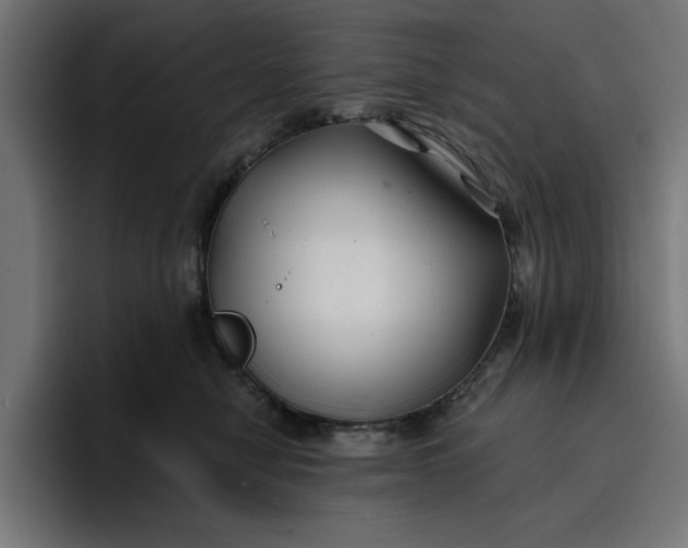 X0000096710470200802191512