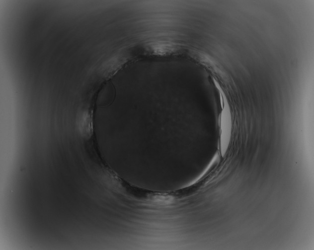 X0000096710471200802191512