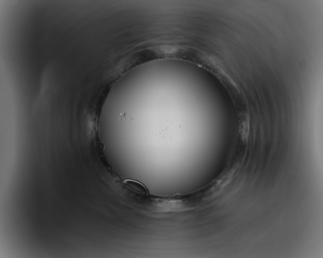 X0000096710476200802191512