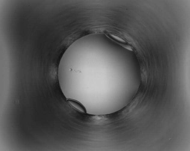 X0000096710477200802191512