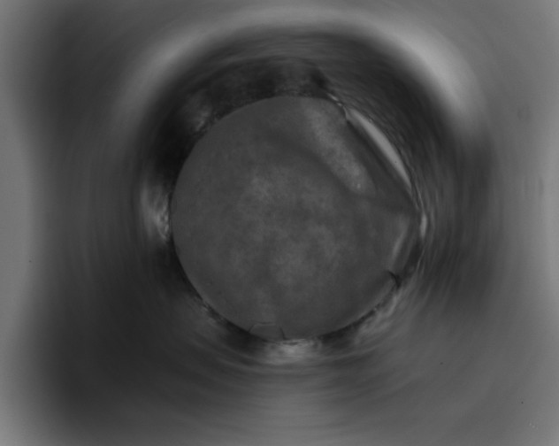 X0000096710479200802191512