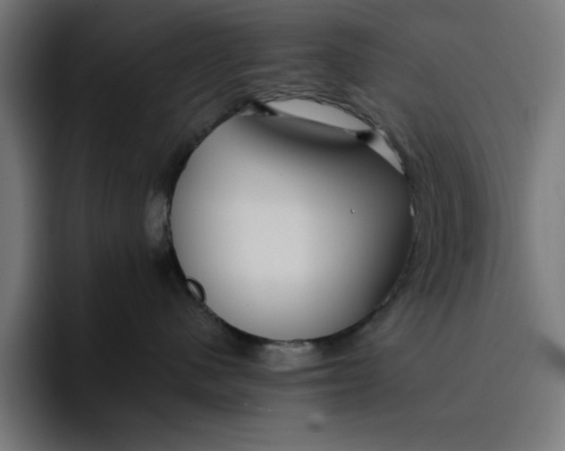 X0000096710480200802191512