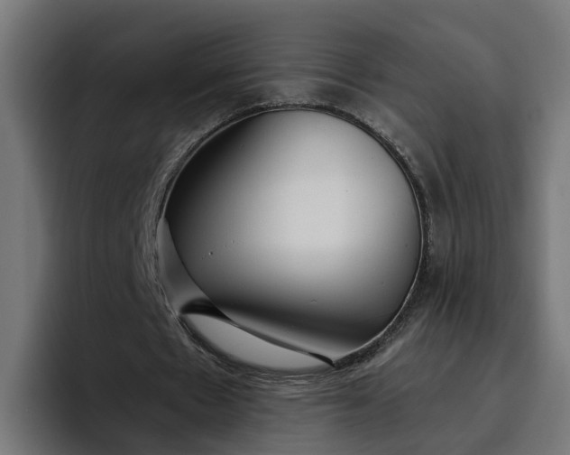 X0000096710481200802191511