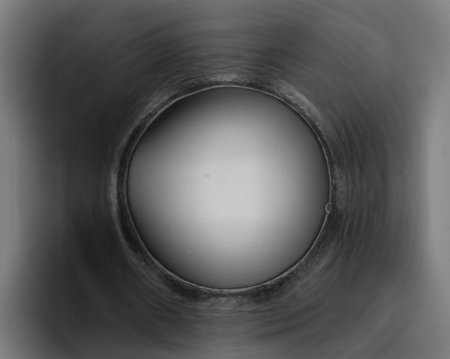 X0000096710482200802191511