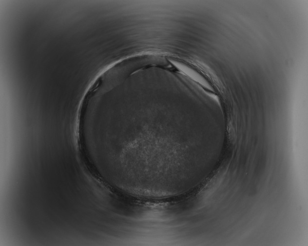 X0000096710484200802191511