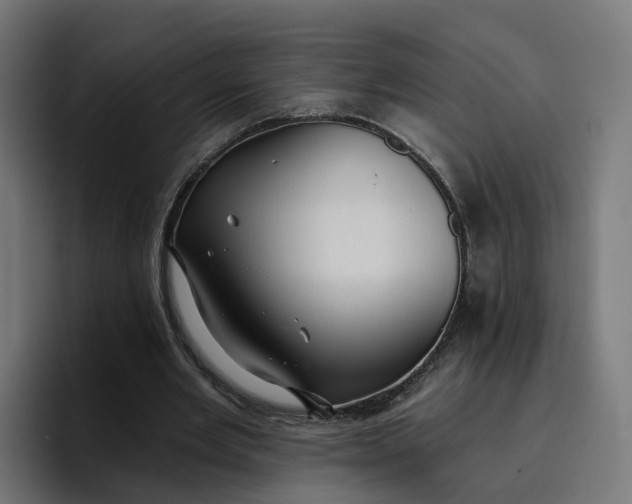 X0000096710485200802191511