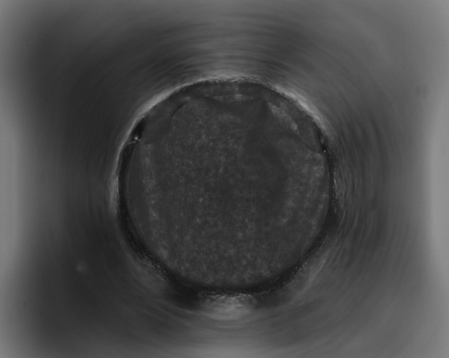 X0000096710488200802191511