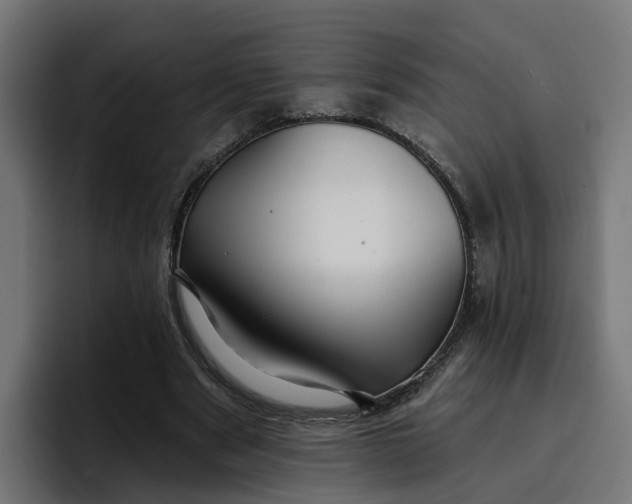 X0000096710489200802191511