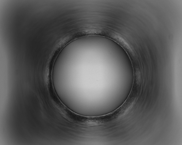 X0000096710490200802191511