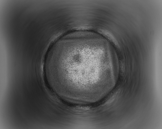 X0000096710491200802191511