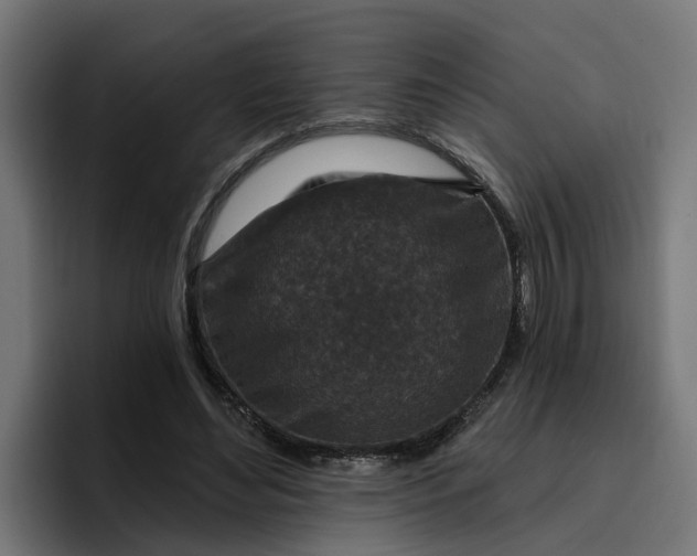 X0000096710492200802191511