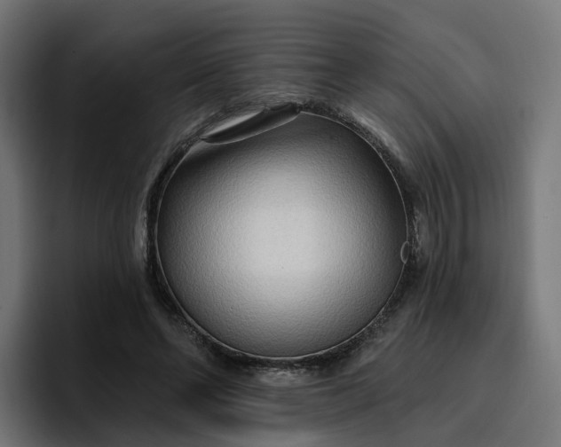 X0000096710494200802191511