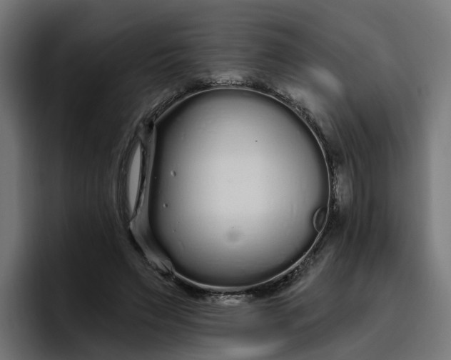 X0000096710495200802191511