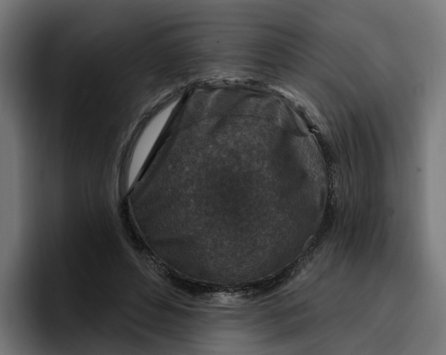 X0000096710496200802191511