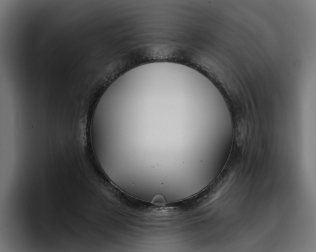 X0000096710497200802191511