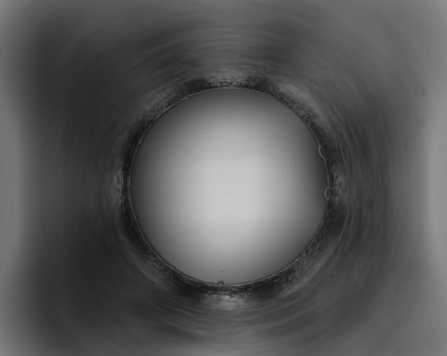 X0000096710498200802191511