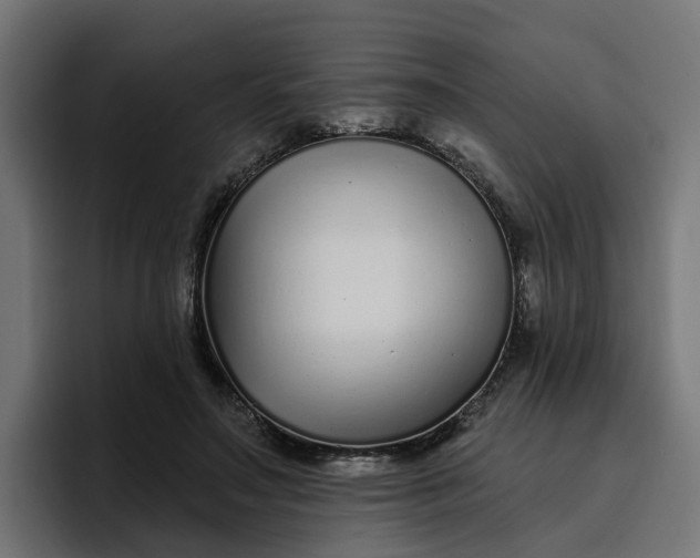 X0000096710499200802191511