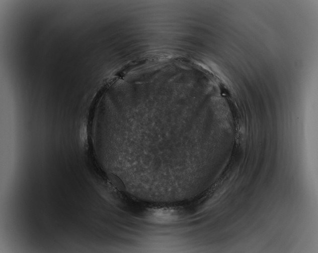 X0000096710500200802191511