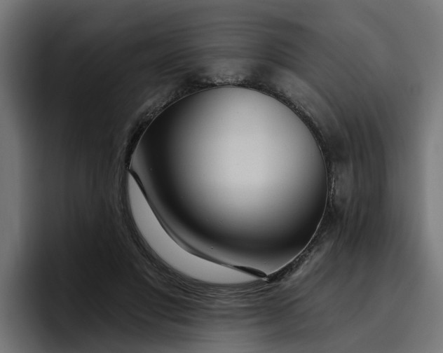 X0000096710501200802191511