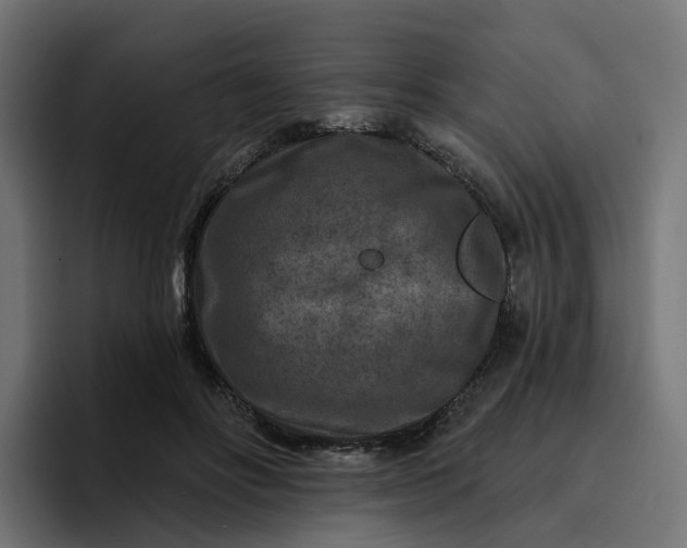 X0000096710502200802191511