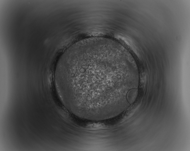 X0000096710503200802191511