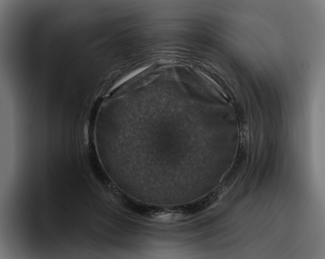 X0000096710504200802191511