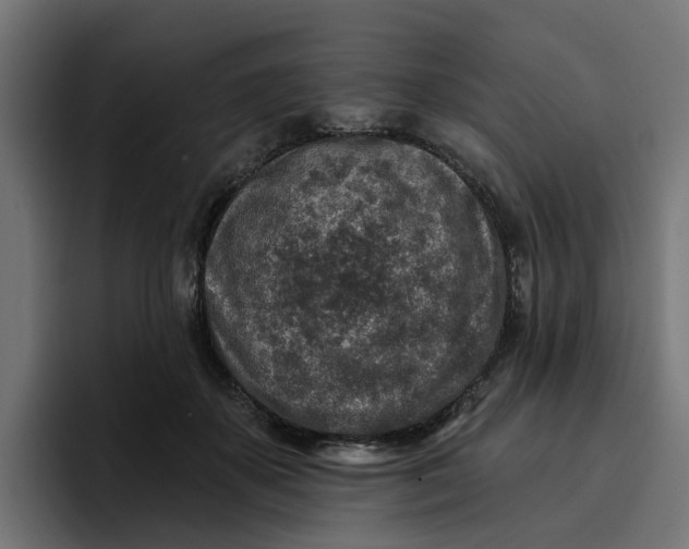 X0000096710507200802191511