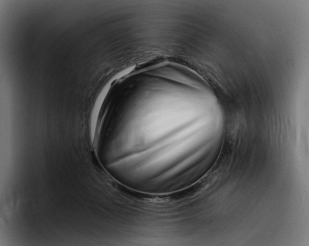 X0000096710511200802191511