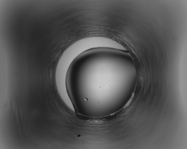 X0000096710512200802191511