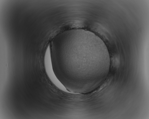 X0000096710517200802191511