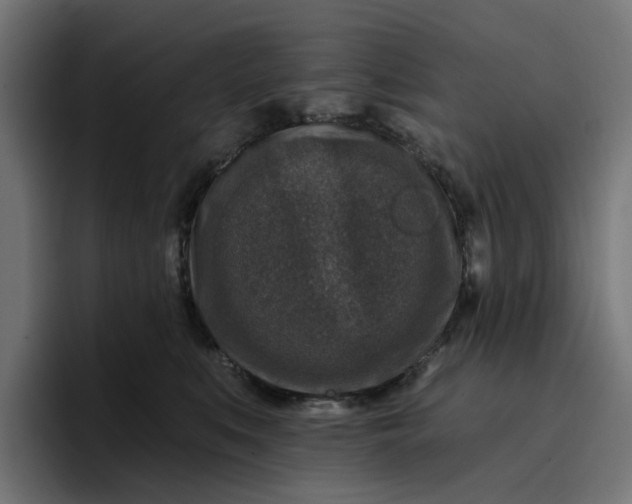 X0000096710519200802191511