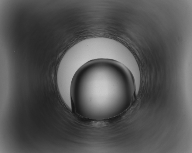 X0000096710520200802191511