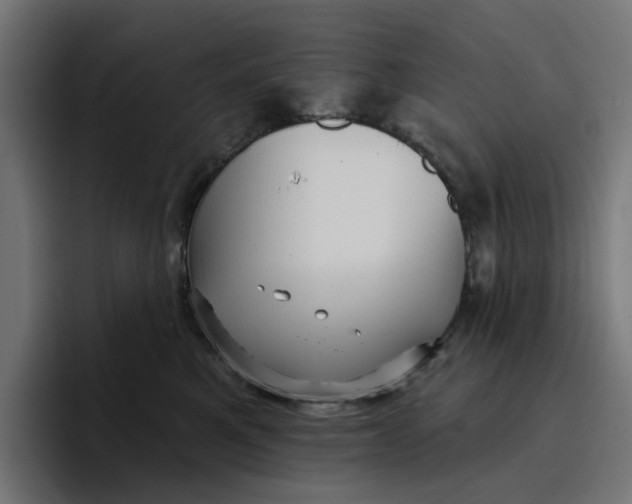 X0000096710521200802191511