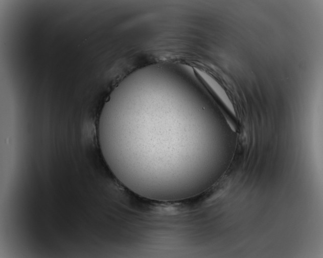 X0000096710523200802191511