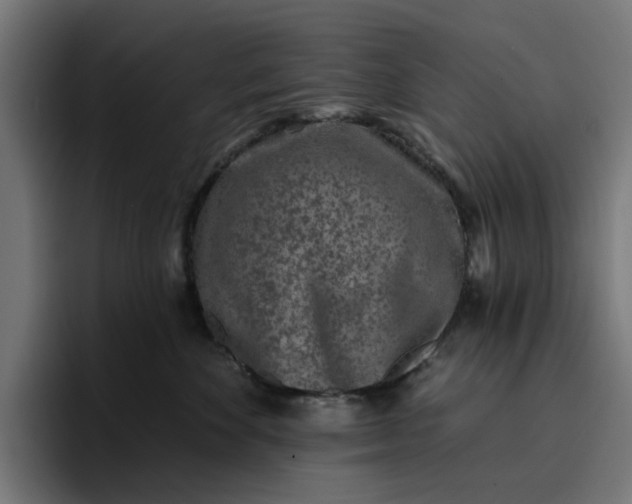 X0000096710524200802191511