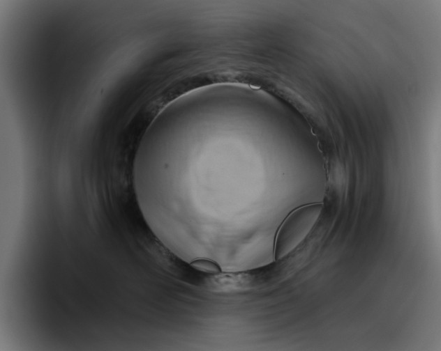 X0000096710526200802191511