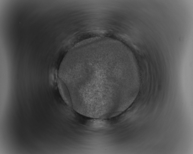 X0000096710528200802191511