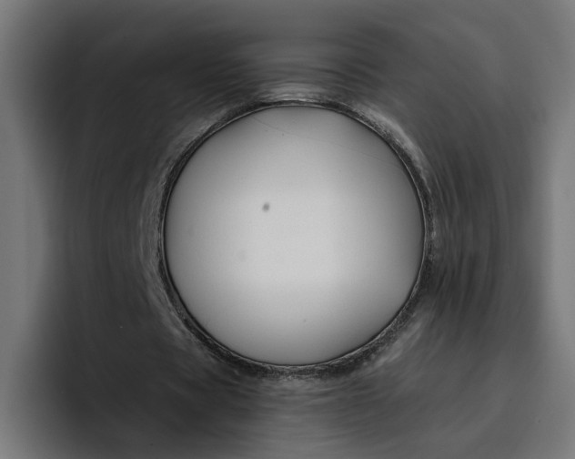 X0000096710529200802191510