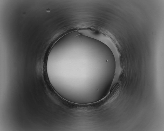 X0000096710530200802191510